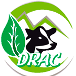 DIRECCIÓN DE AGRICULTURA CAJAMARCA