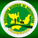DIRECCIÓN DE AGRICULTURA HUÁNUCO