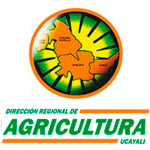DIRECCIÓN DE AGRICULTURA UCAYALI