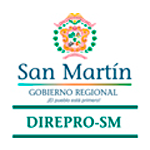 DIREPRO SAN MARTÍN
