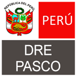 DIRECCIÓN DE EDUCACIÓN(DRE) PASCO