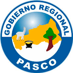GOBIERNO REGIONAL PASCO