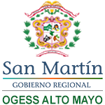 SERVICIOS DE SALUD ALTO MAYO